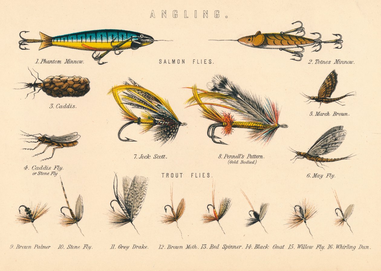 Fiske, 1900-tallet. av Unbekannt