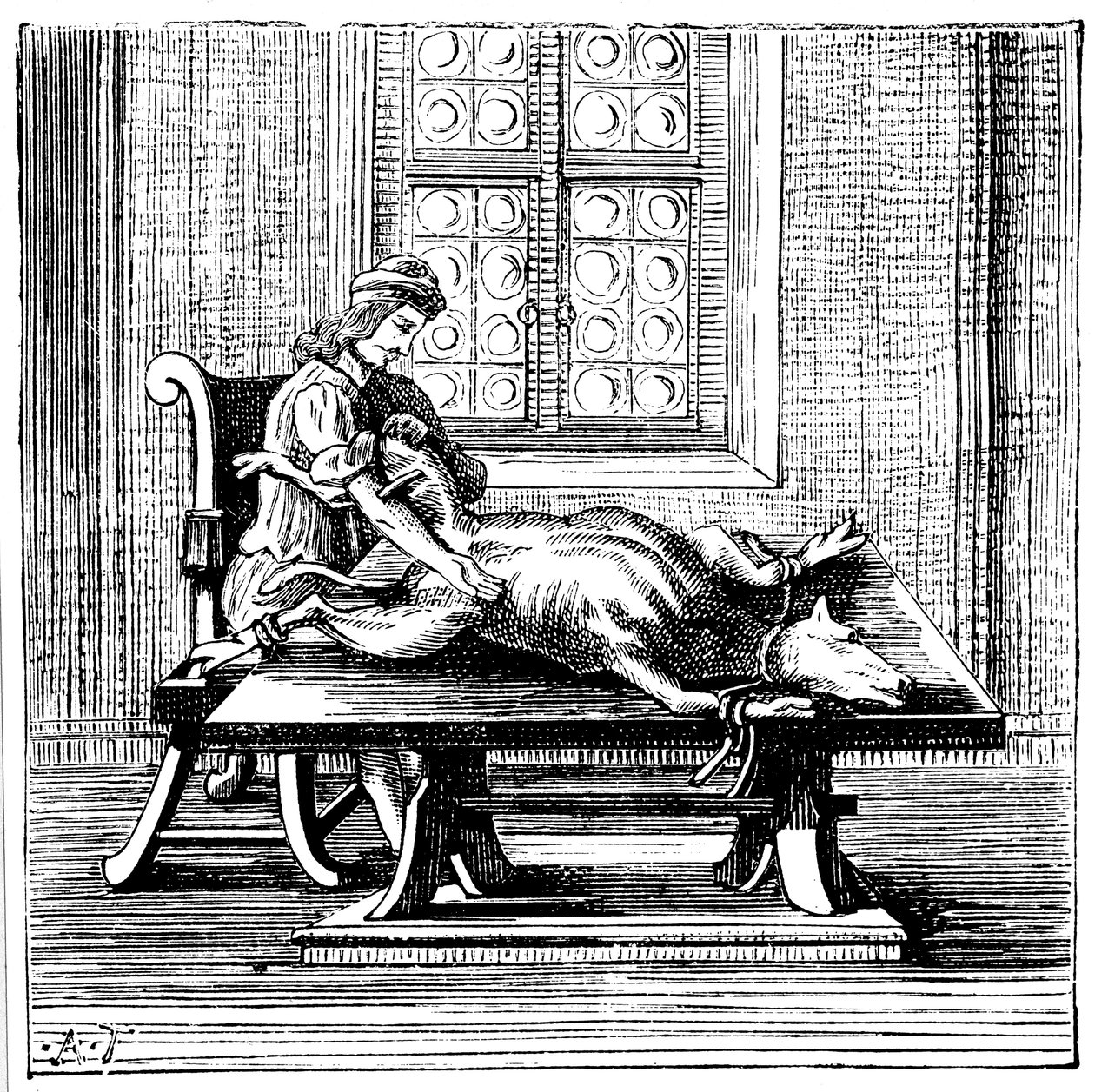 Dyre-til-menneske blodoverføring, 1679 av Unbekannt