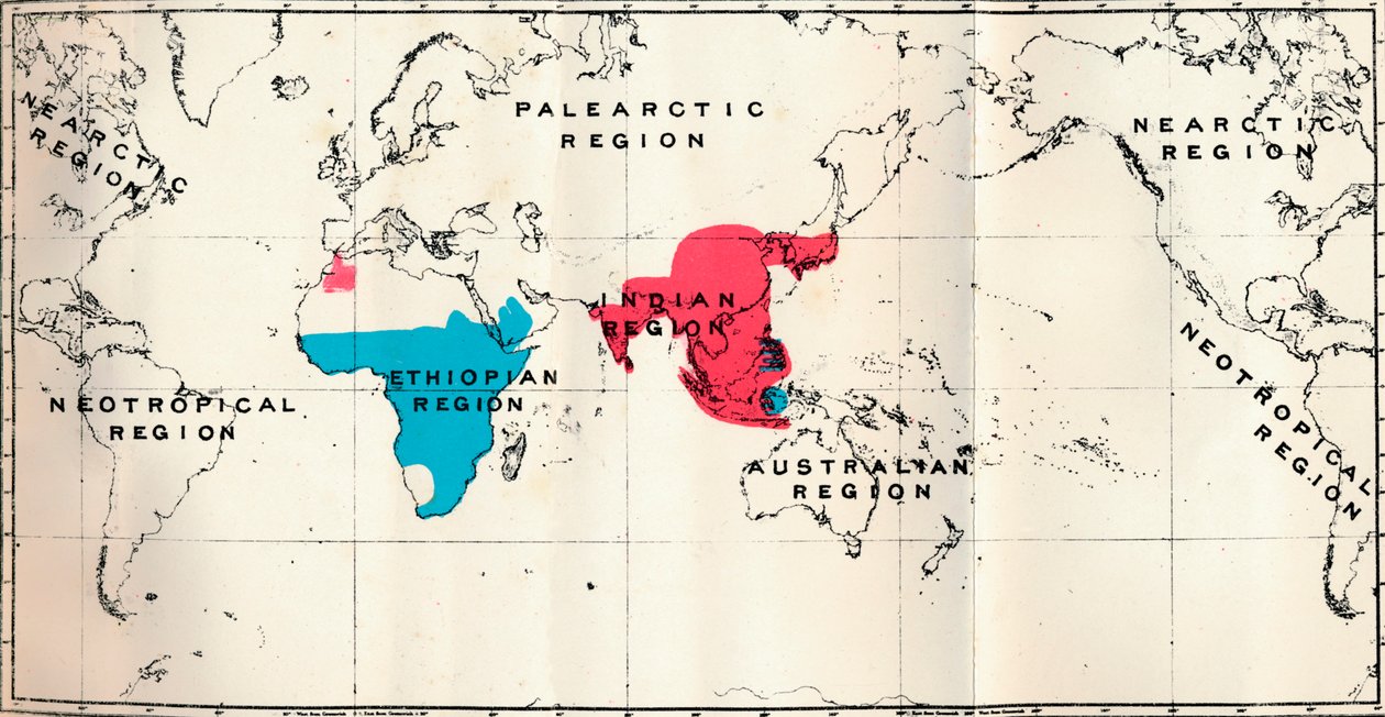 Anthropoidea - VI. Kartdistribusjon av forskjellige arter Blå og Makakusrød, 1897 av Unbekannt