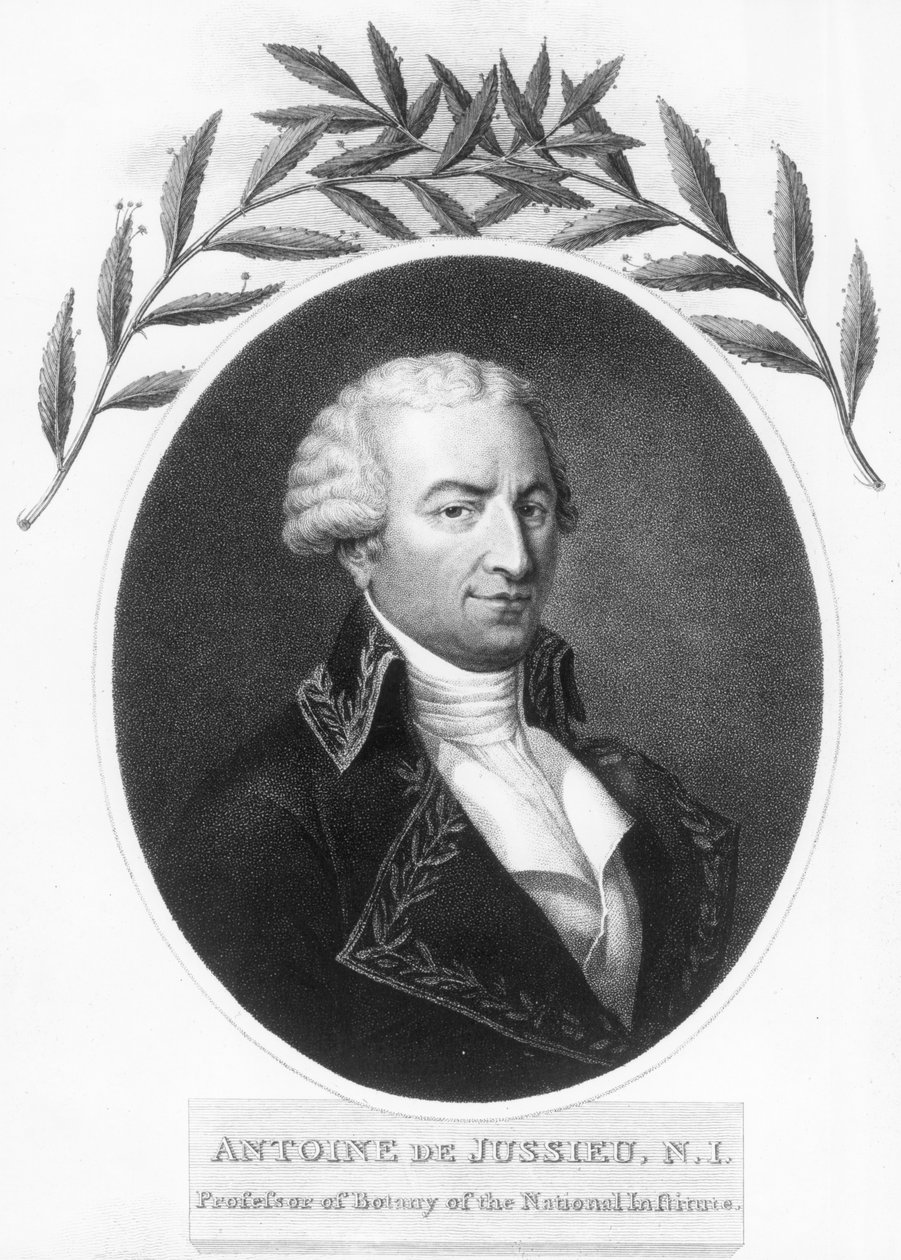 Antoine de Jussieu , fransk botaniker fra 1700-tallet, 1807 av Unbekannt