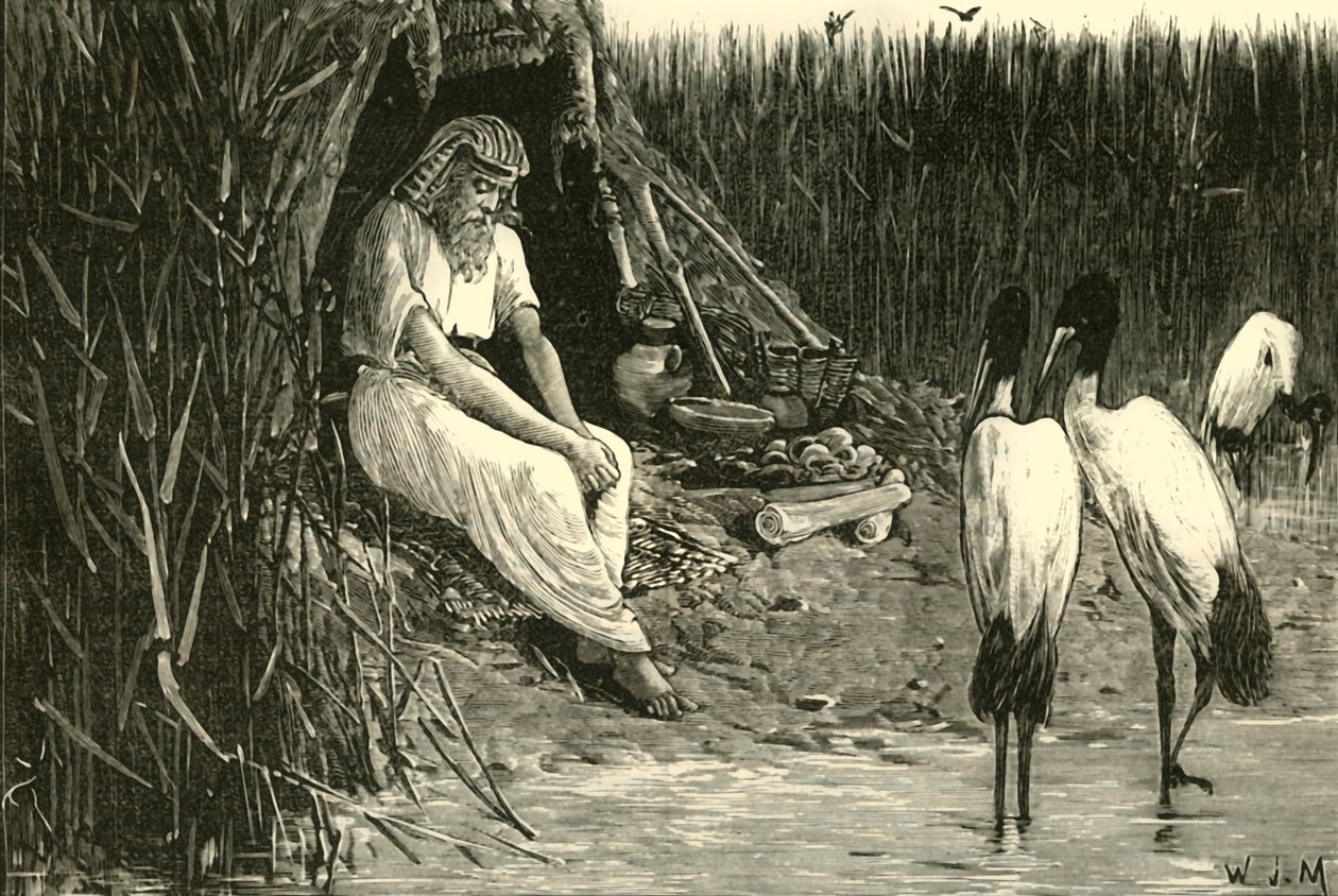 Anysis skjult i myrene i deltaet, 1890. av Unbekannt
