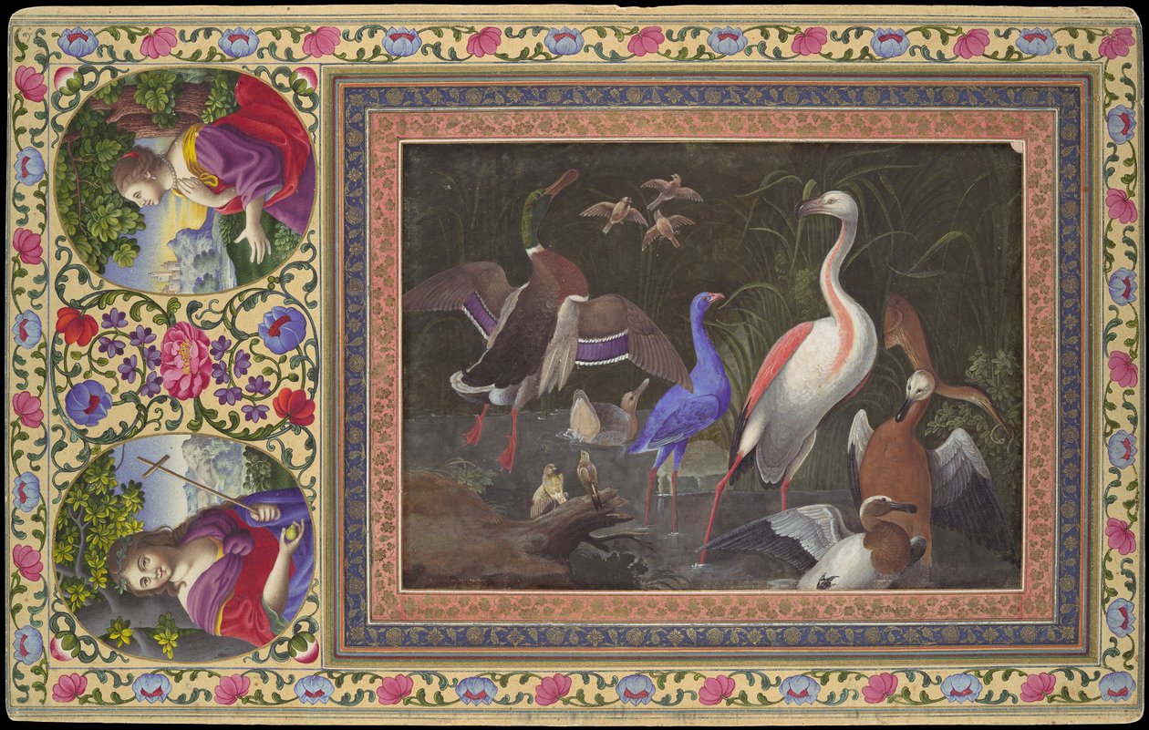Aquatic Birds at a Pool, Folio fra Davis Album, 1700-tallet. av Unbekannt