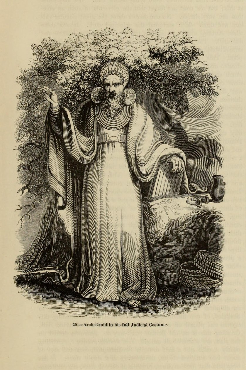 Arch-Druid i sin fulle rettslige kostyme Fra boken Old England: A Pictorial Museum, 1845 av Unbekannt