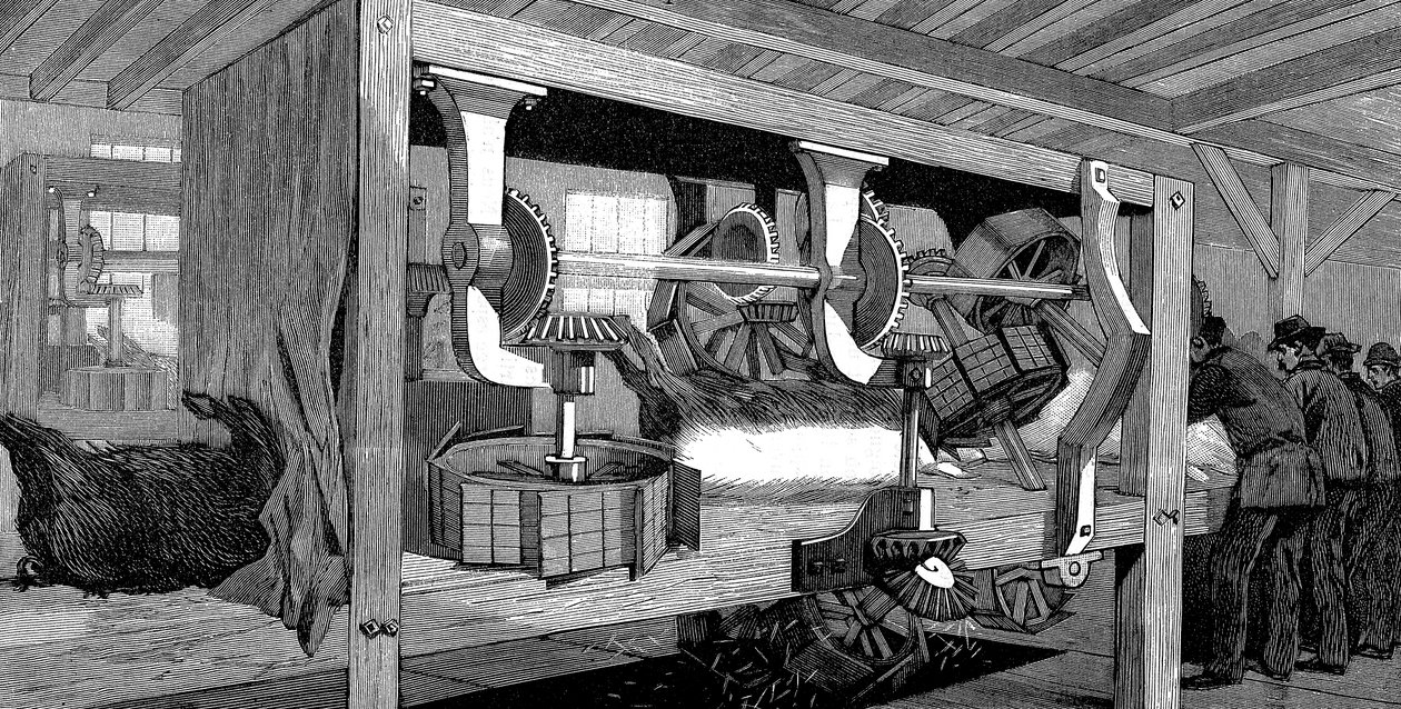 Armour Companys griseslakteri, Chicago, Illinois, USA, 1892 av Unbekannt