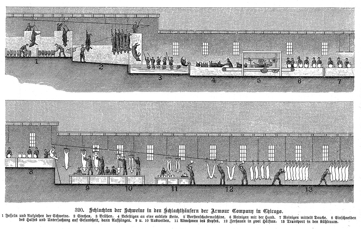 Armour Companys griseslakteri, Chicago, Illinois, USA, 1895 av Unbekannt