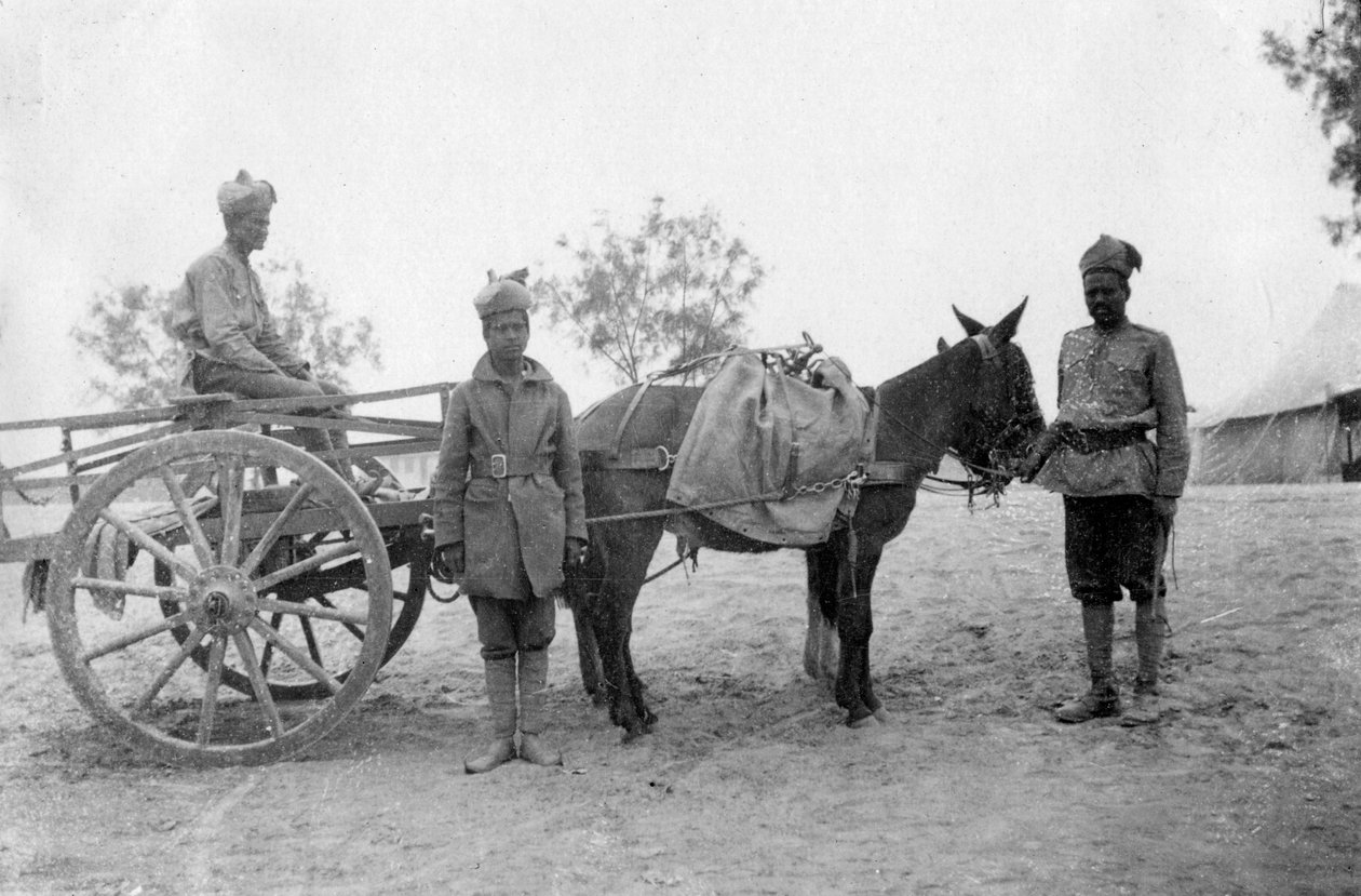 Hærens tjenestekorp, Howshera, 1917 av Unbekannt