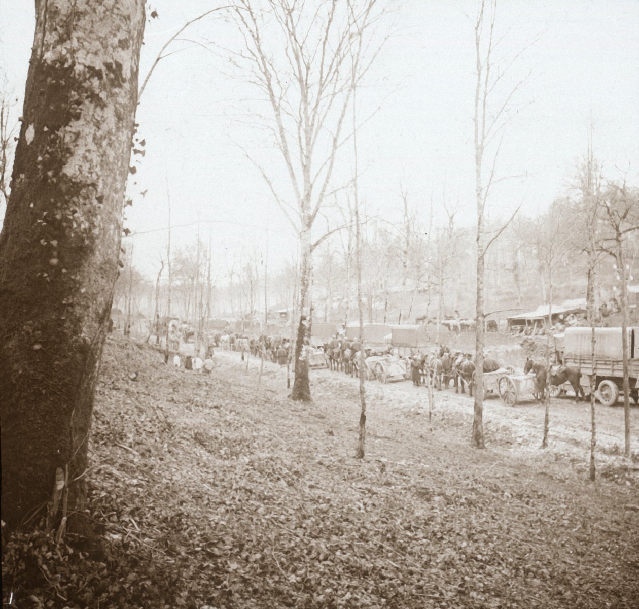 Artilleri, Somme, Nord-Frankrike, c1914-c1918 av Unbekannt