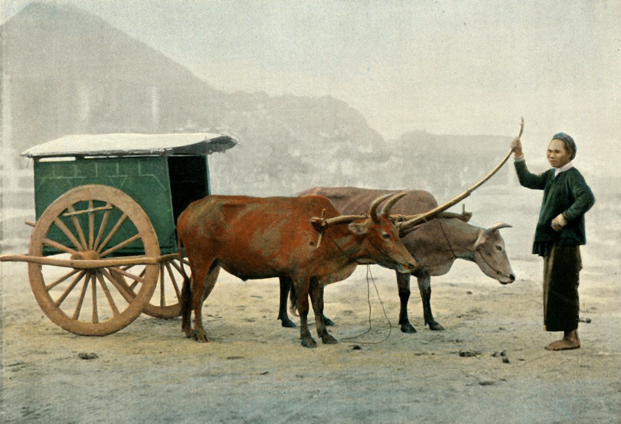 Annamite-feste, Annamite Yoke, 1900. av Unbekannt