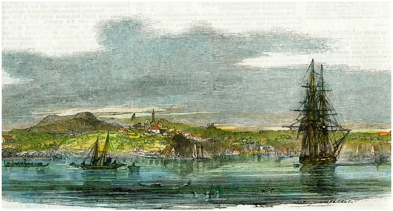 Auckland, New Zealand, c1880 av Unbekannt