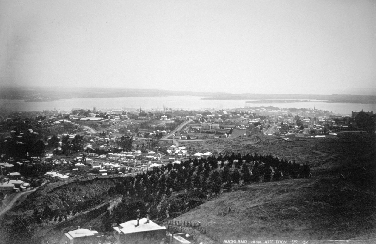 Auckland fra Mt Eden, New Zealand, 1899 av Unbekannt