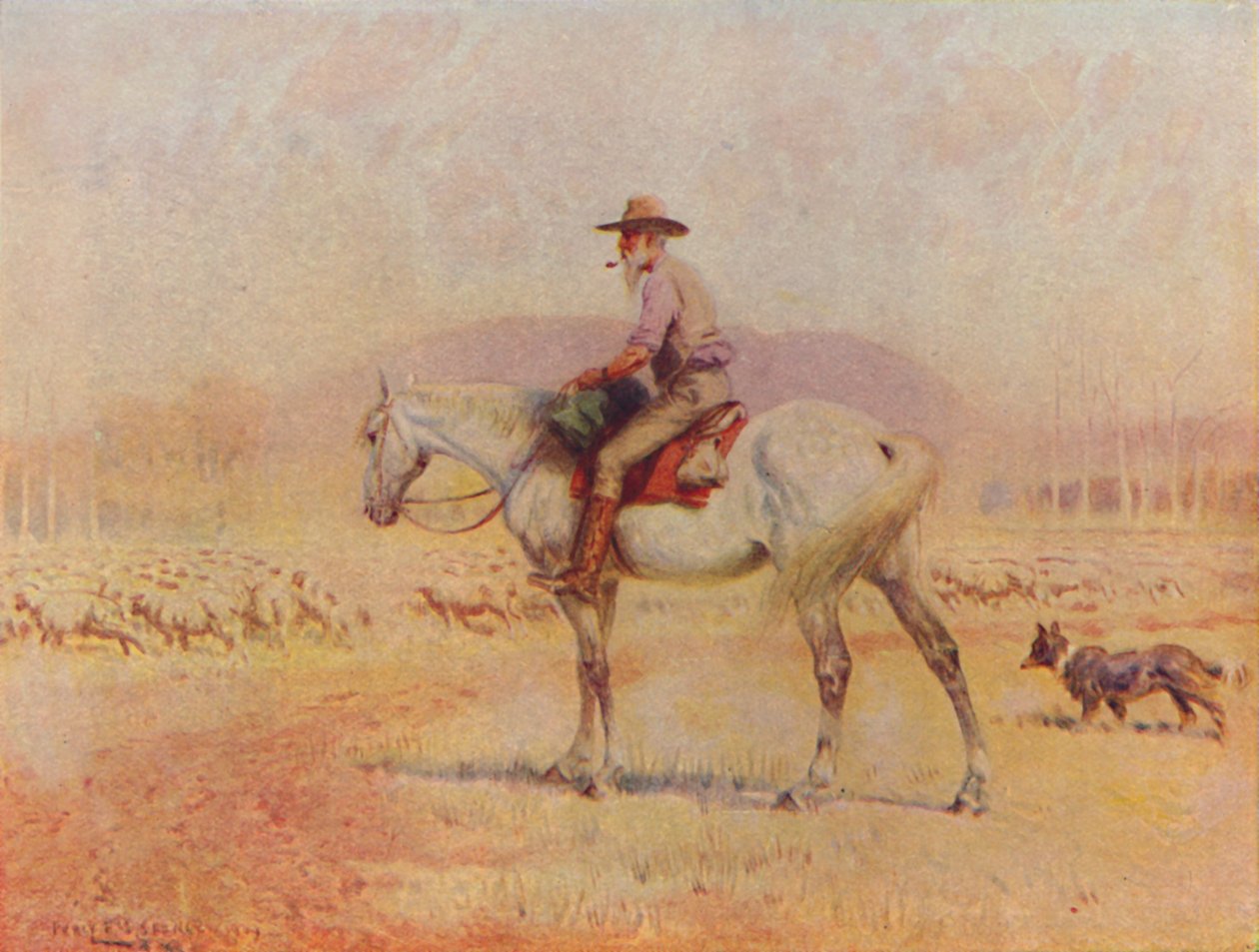 Australsk sauebonde, 1924 av Unbekannt