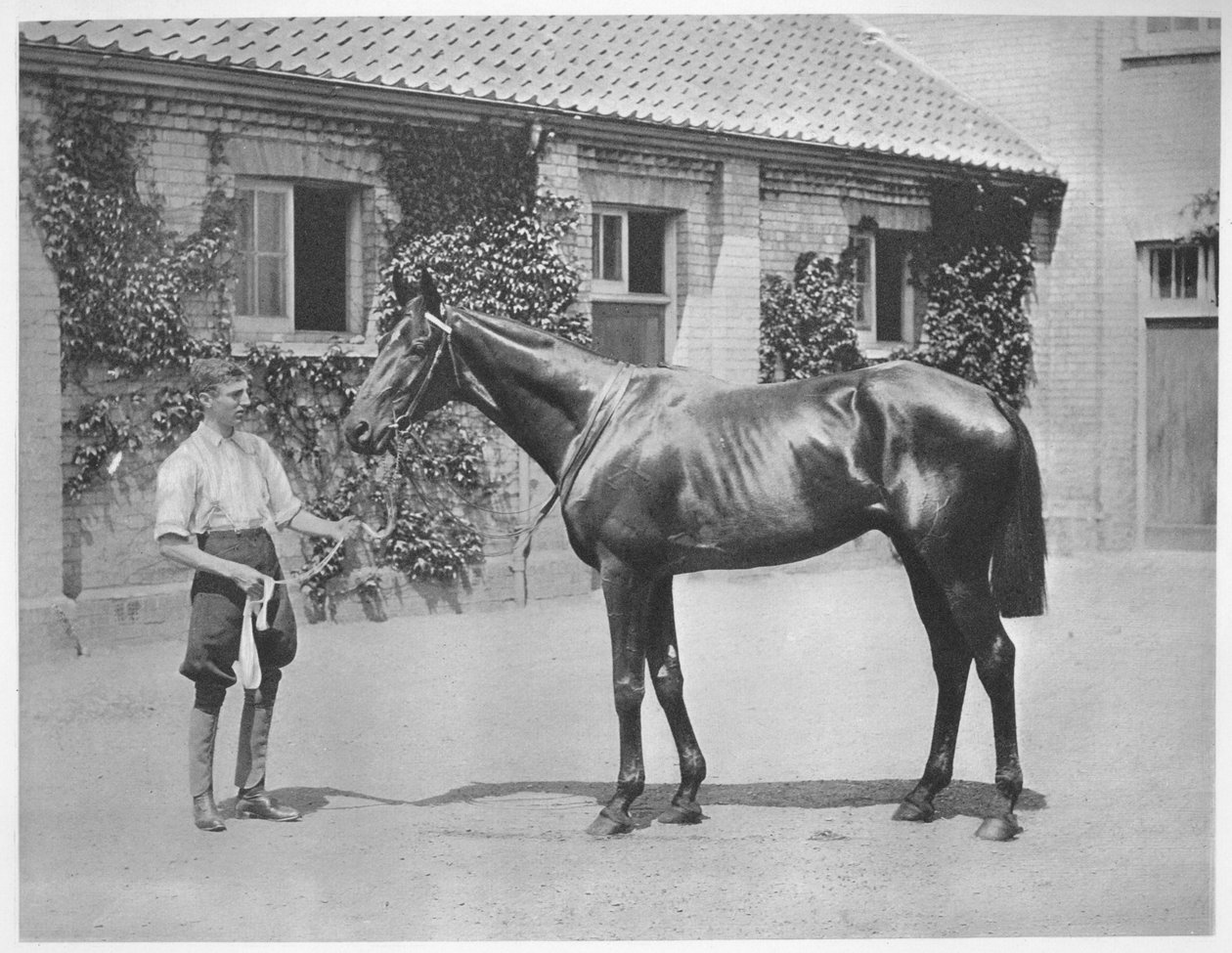Australian Star, 1911 av Unbekannt
