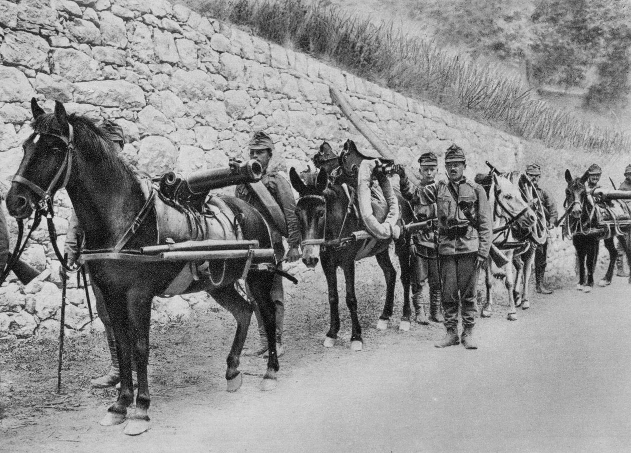 Østerrikske soldater, østerriksk-italiensk krig, slaget ved Isonzo, første verdenskrig, 1915 av Unbekannt