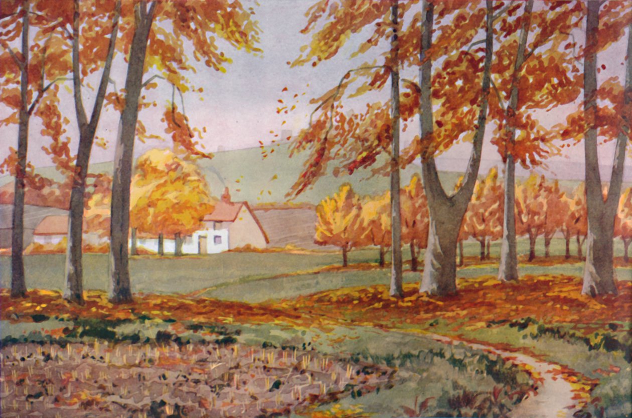 Høst - De fysiske, kjemiske og biologiske endringene som ble utført av solen i løpet av året, 1935 av Unbekannt