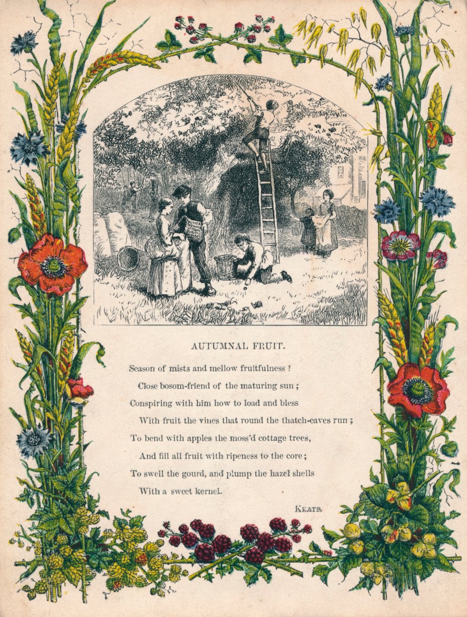 Autumnal Fruit av Keats, c1900 av Unbekannt