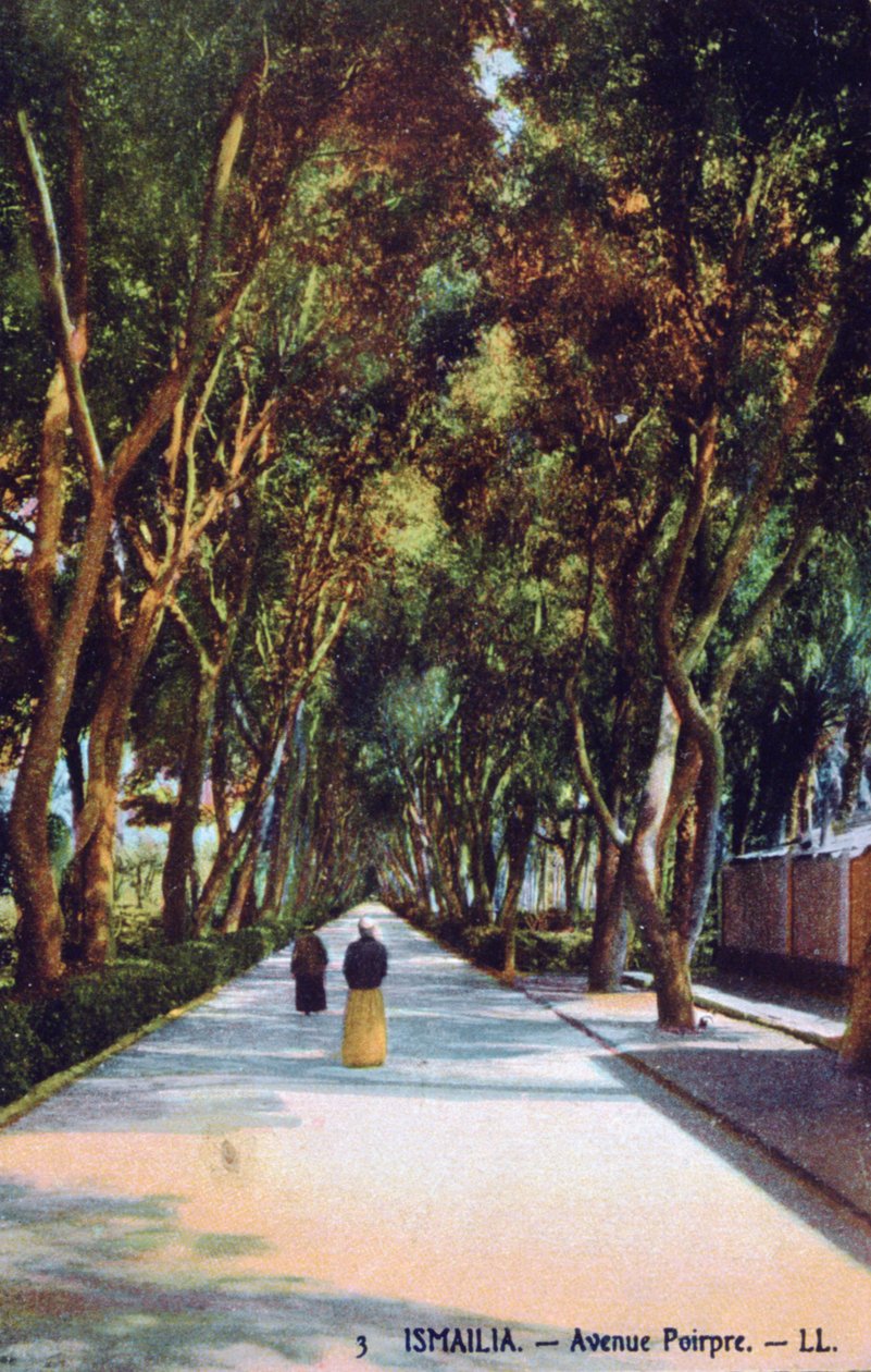 Avenue Poirpre, Ismailia, Egypt, c1900 av Unbekannt