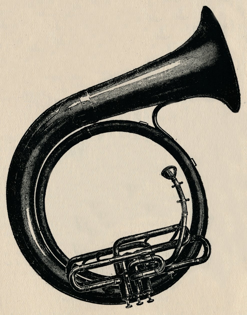 BB sirkulær bass, 1910. av Unbekannt