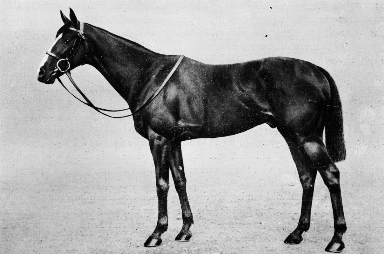 Bachelor Double, 1911 av Unbekannt