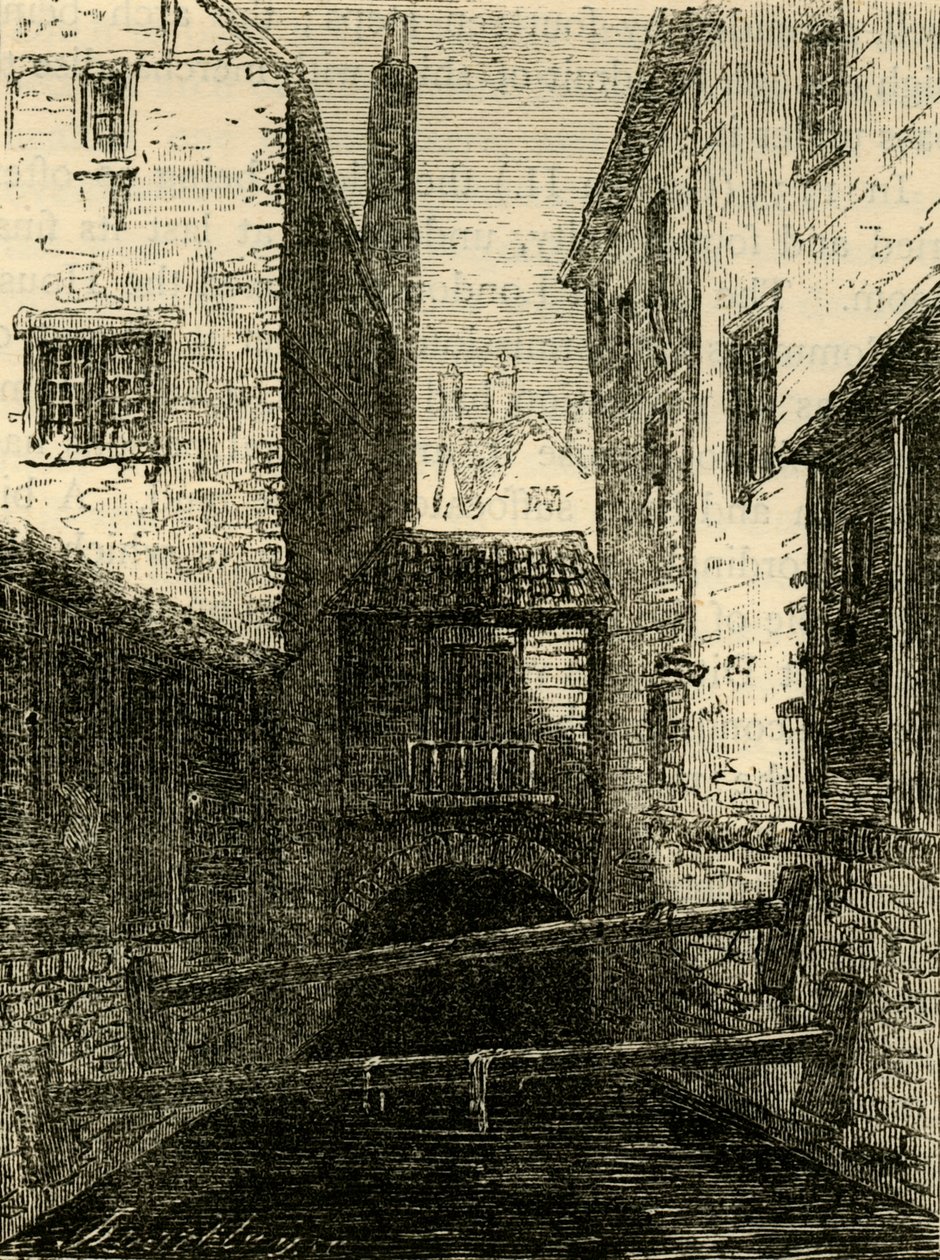 Baksiden av den røde løven, fra flåten, c1872. av Unbekannt