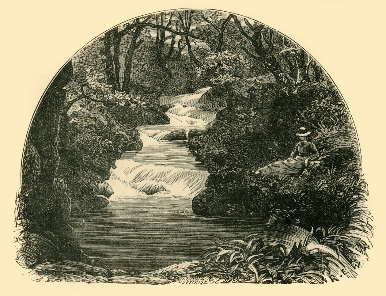 Bagworthy Waterslide, 1898. av Unbekannt