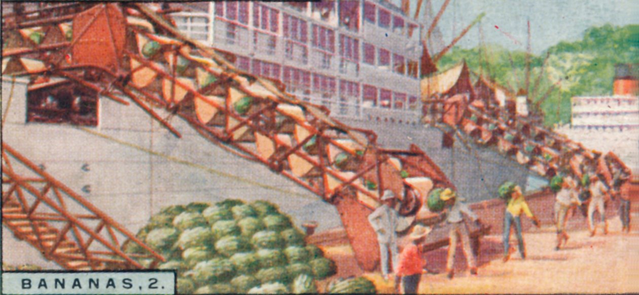 Bananas 2. - Laster et dampskip, Costa Rica, 1928 av Unbekannt
