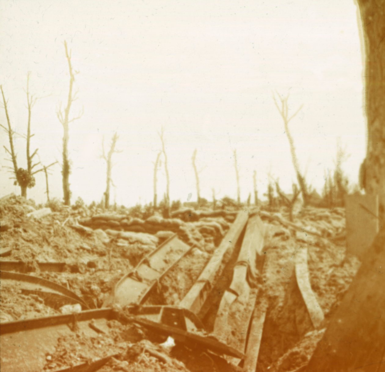 Banken av elven Yser, Diksmuide, Belgia, c1914-c1918 av Unbekannt