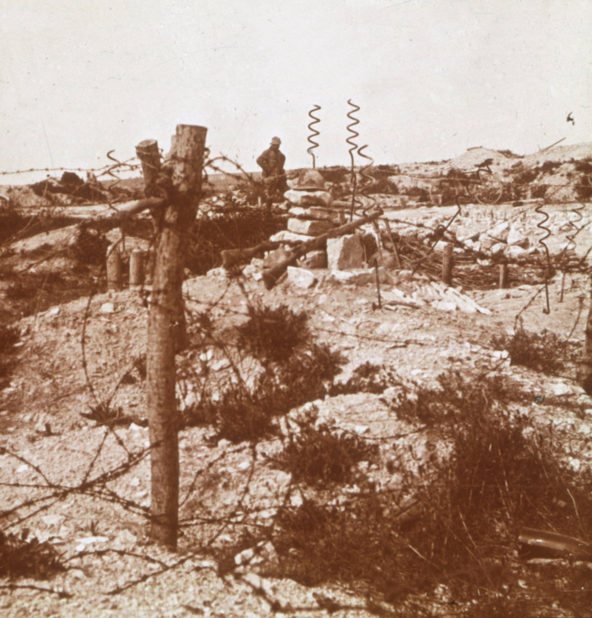 Piggtråd, Craonne, Nord-Frankrike, c1914-c1918 av Unbekannt