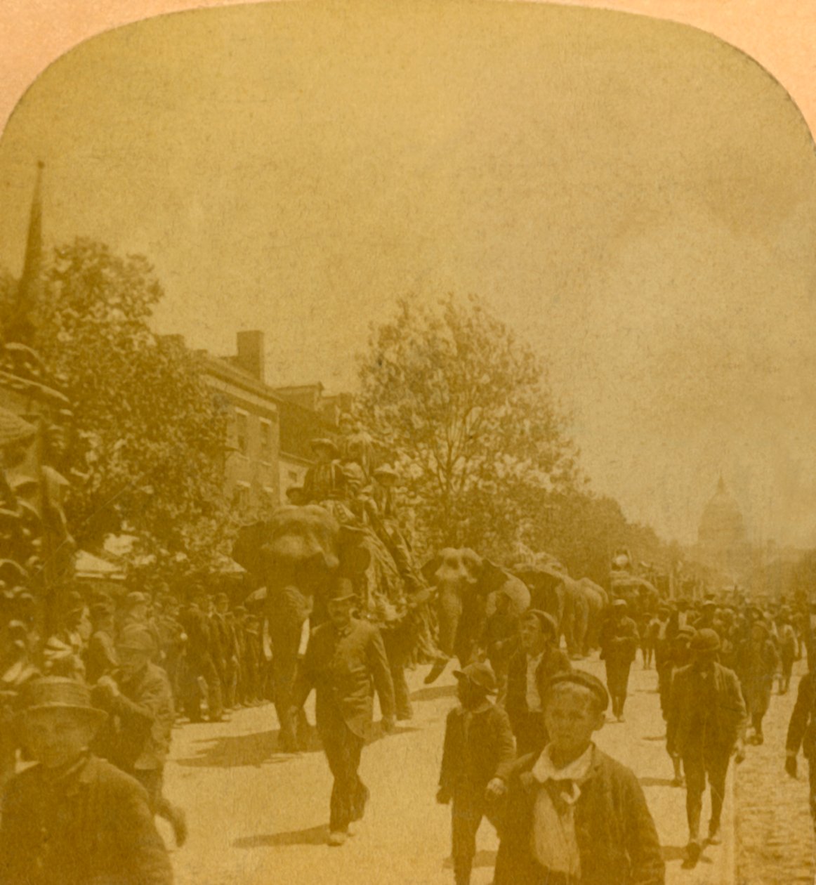 Barnums Parade, Penn. Ave. Washington D.C., slutten av 1800-begynnelsen av det 20. århundre. av Unbekannt