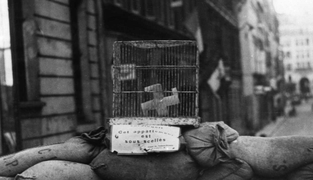 Barrikaden på Rue de Chateaudun, frigjøring av Paris, august 1944 av Unbekannt