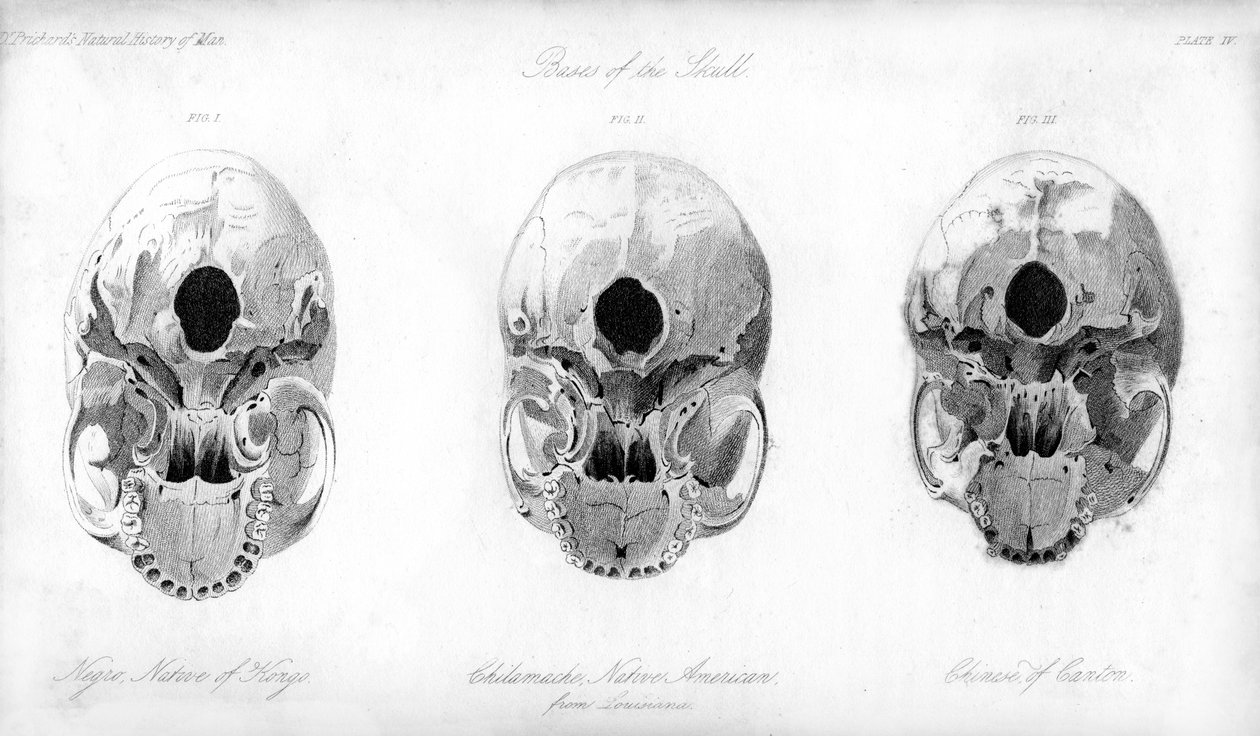 Hodeskallebunnen, 1848 av Unbekannt
