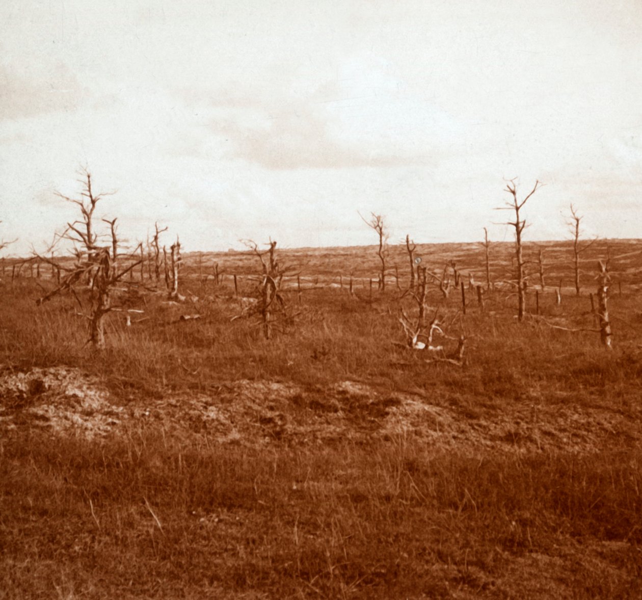 Battlefield, Tahure, Nord-Frankrike, c1914-c1918 av Unbekannt