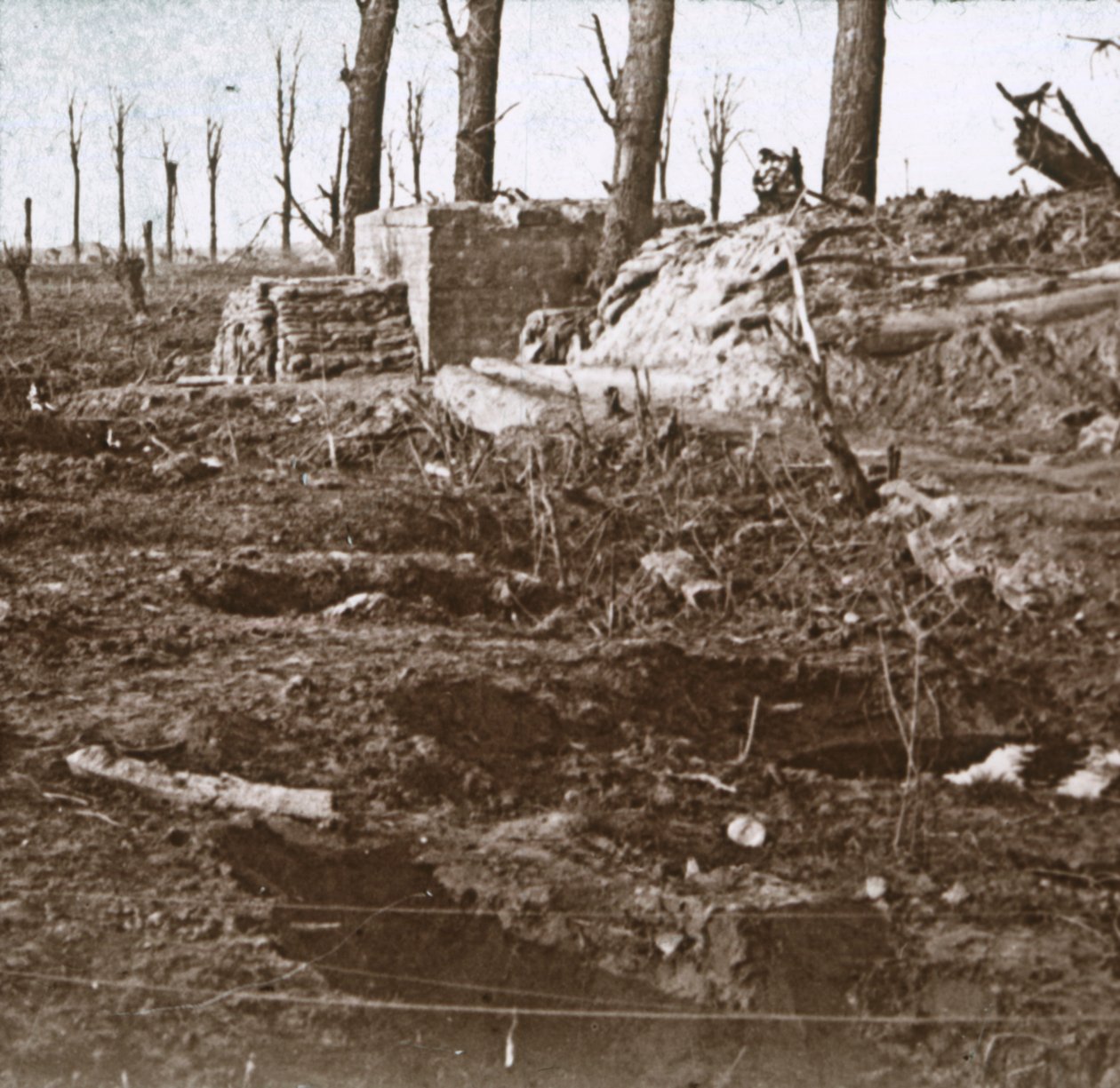Battlefield, c1914-c1918 av Unbekannt