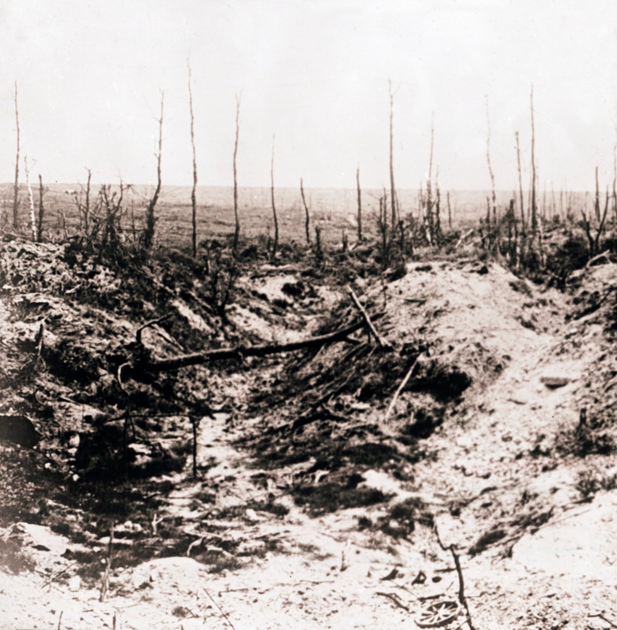 Battlefield, c1914-c1918 av Unbekannt