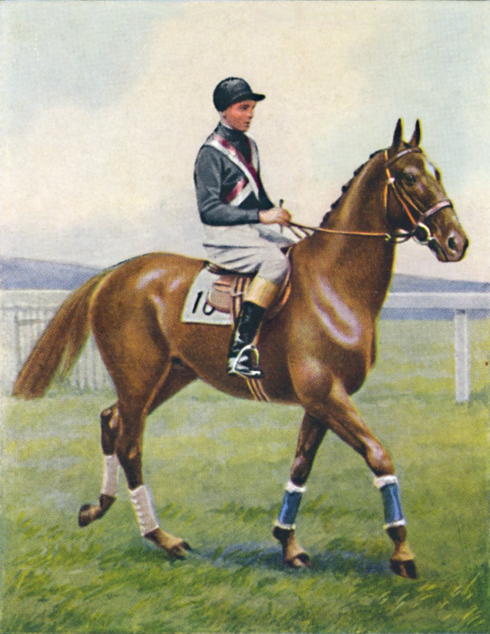 Slagskip, Jockey: B. Hobbs, 1939 av Unbekannt