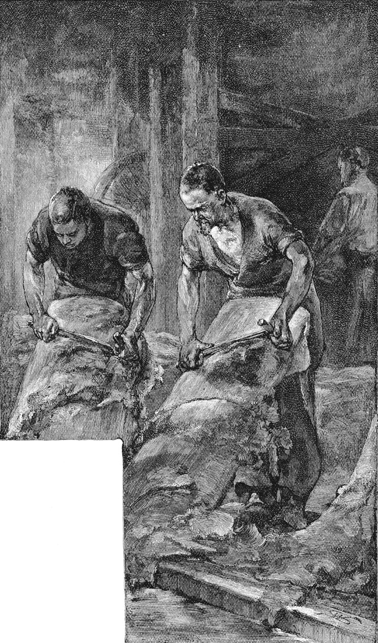 Strålende skinn for produksjon av skoskinn, 1885 av Unbekannt