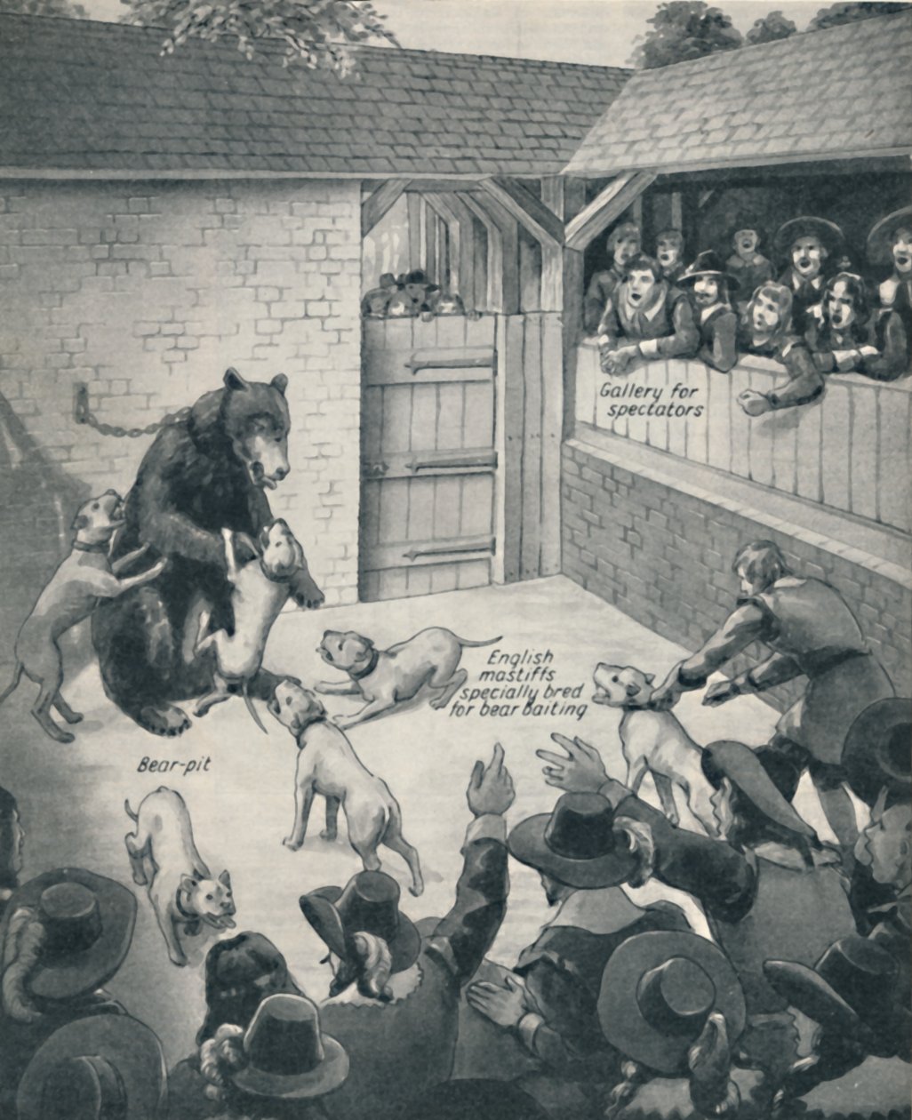Bear-baiting in a Stuart Bear Pit, c1934 av Unbekannt
