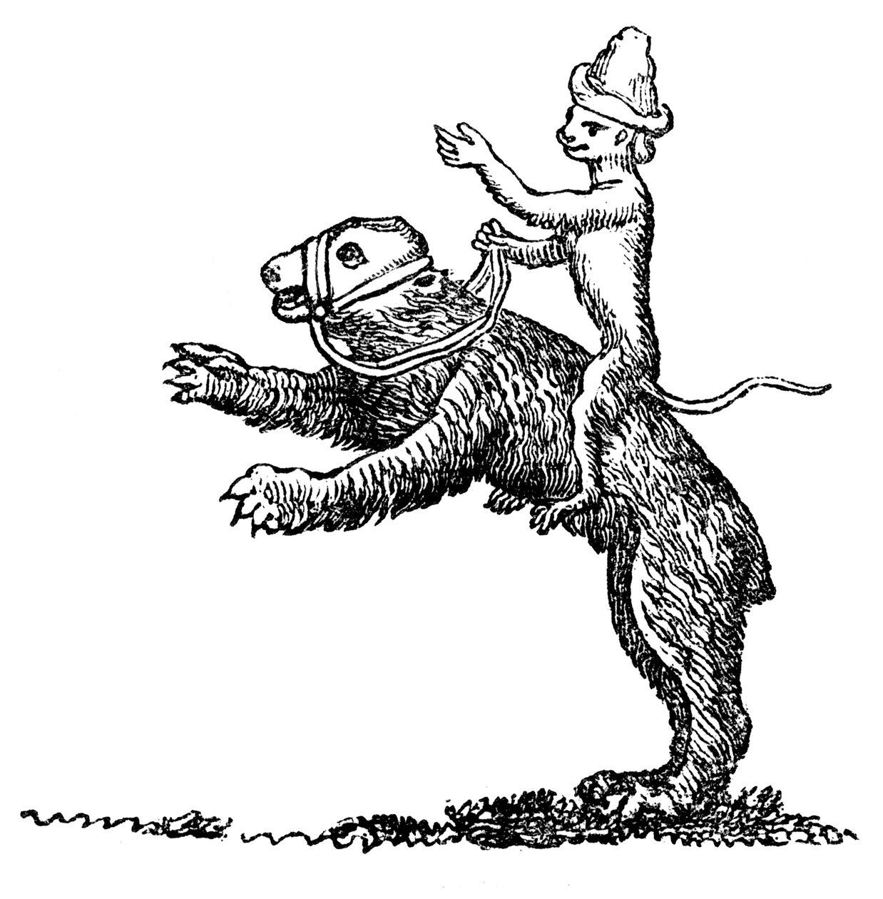Bjørn og ape, 1200-tallet, 1833 av Unbekannt