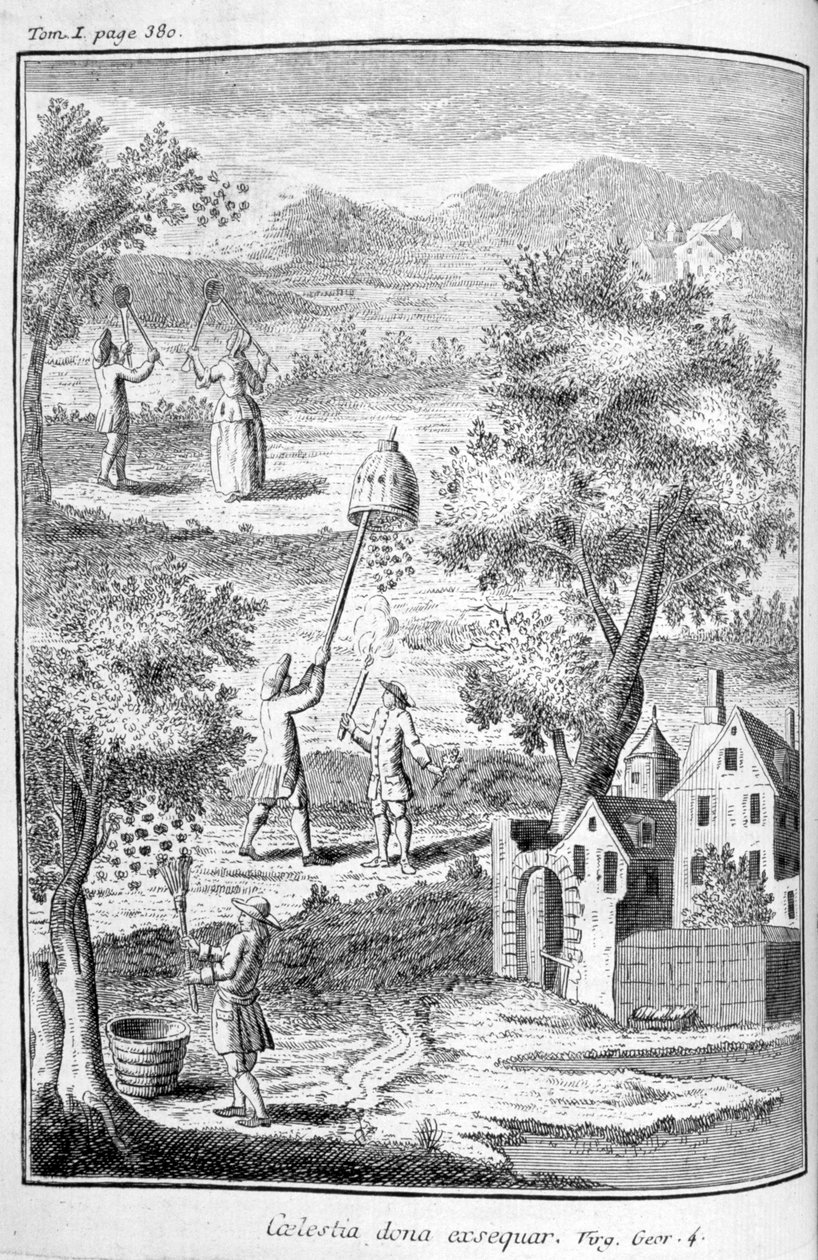 Birøkter, 1775 av Unbekannt