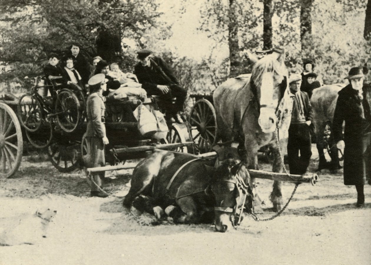 Belgiske flyktninger på veien, 1939-1940, 1941. av Unbekannt