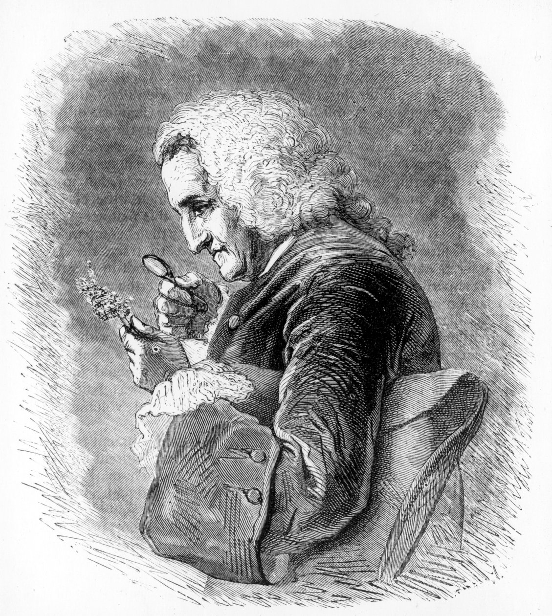 Bernard de Jussieu , fransk botaniker fra 1700-tallet, 1880 av Unbekannt
