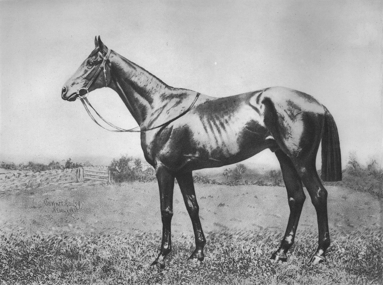 Black Arrow, 1911 av Unbekannt
