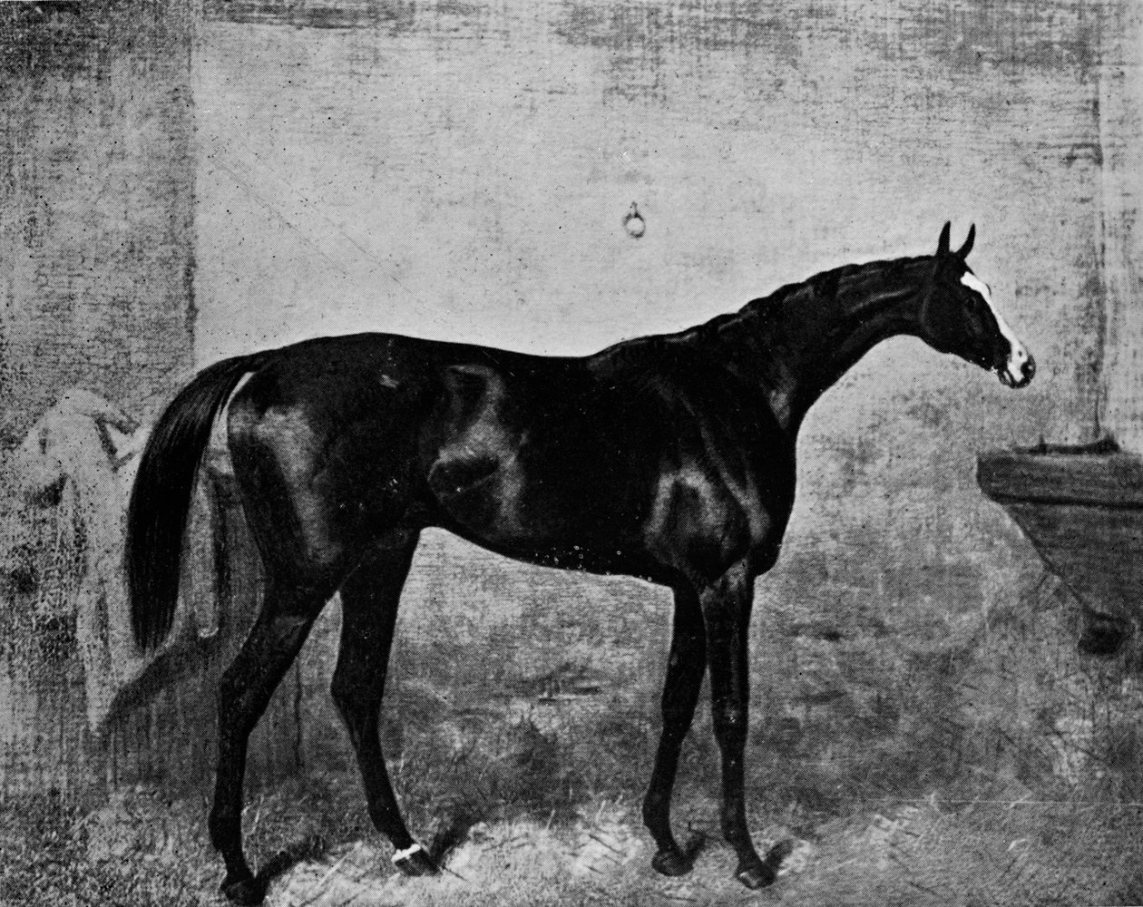 Blair Athol, 1861-1882, 1911 av Unbekannt