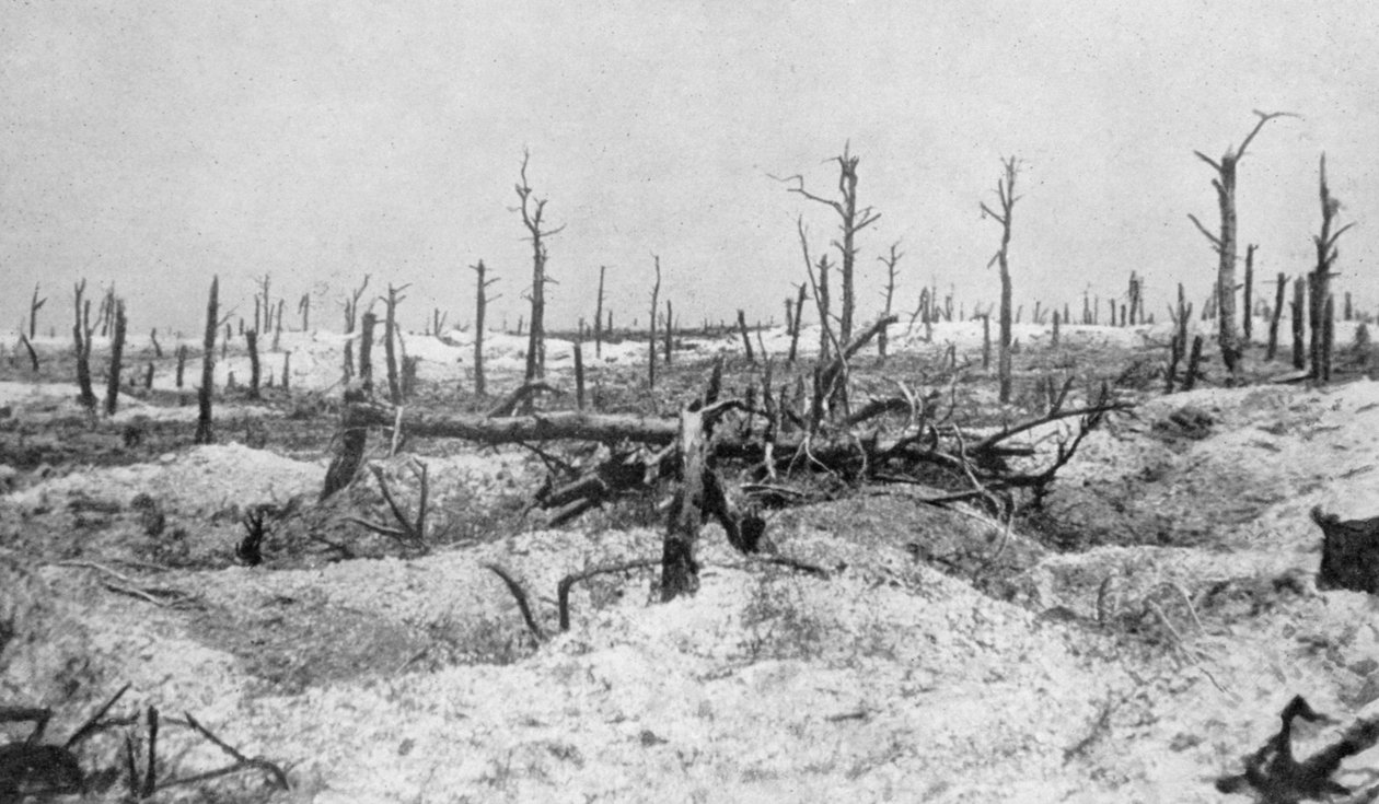 Sprengte trestubber, Mesnil, Champagne, Frankrike, første verdenskrig, 1915 av Unbekannt