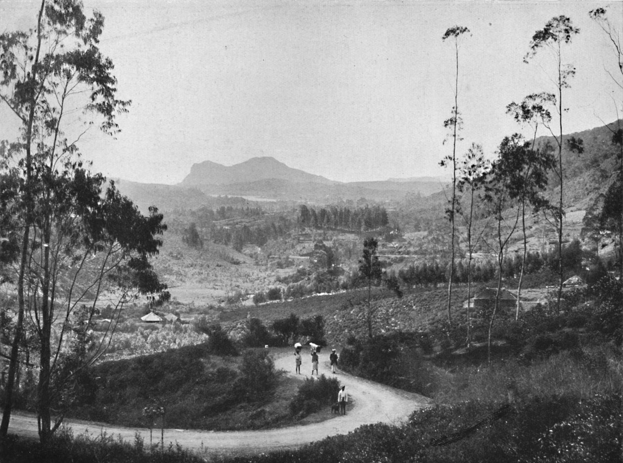 Utsikt fra Ramboda-passet med sørøstover mot Nuwara Eliya og Hakgalla Rock, 1926 av Unbekannt