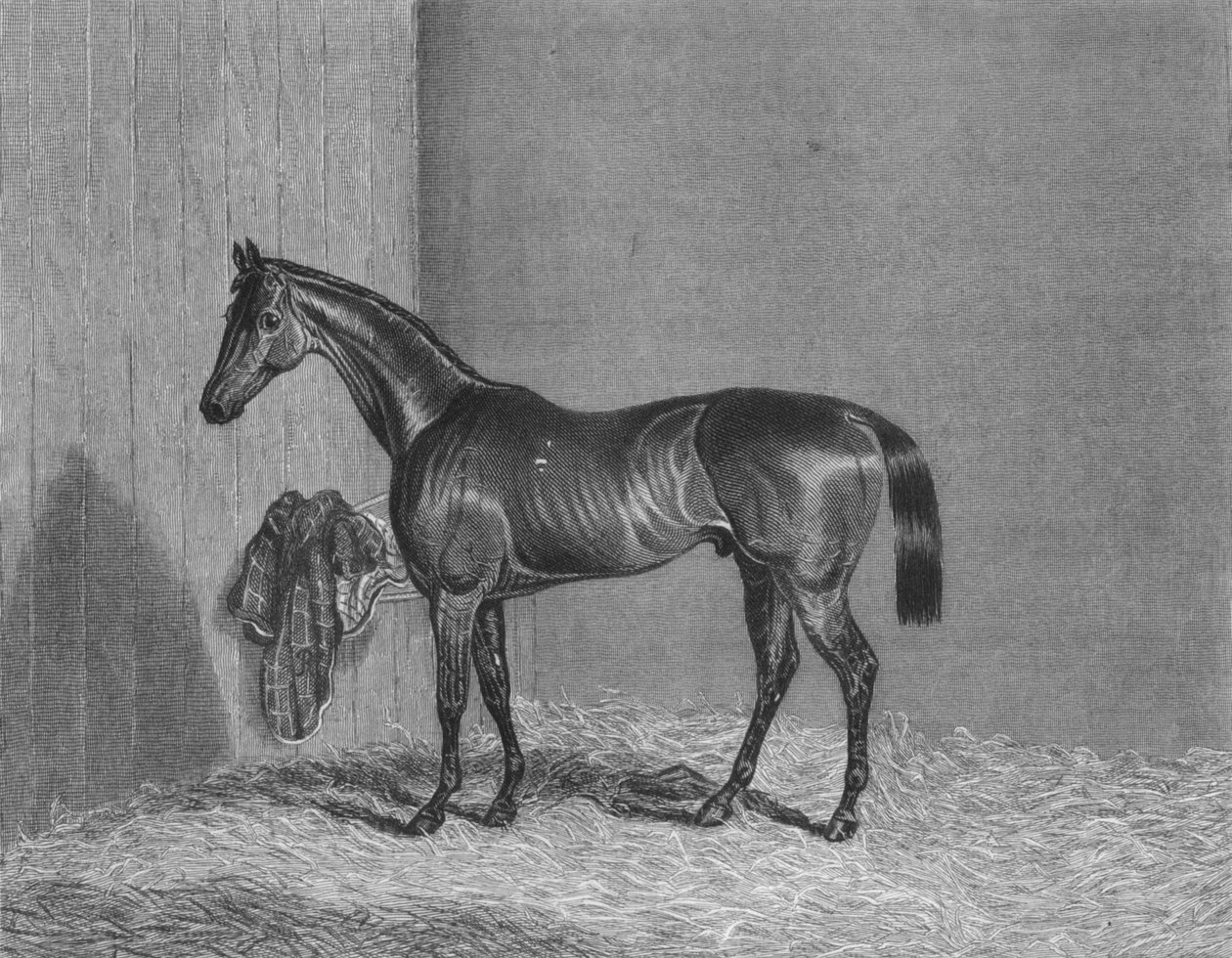 Bloomsbury, 1836-1861, 1911 av Unbekannt