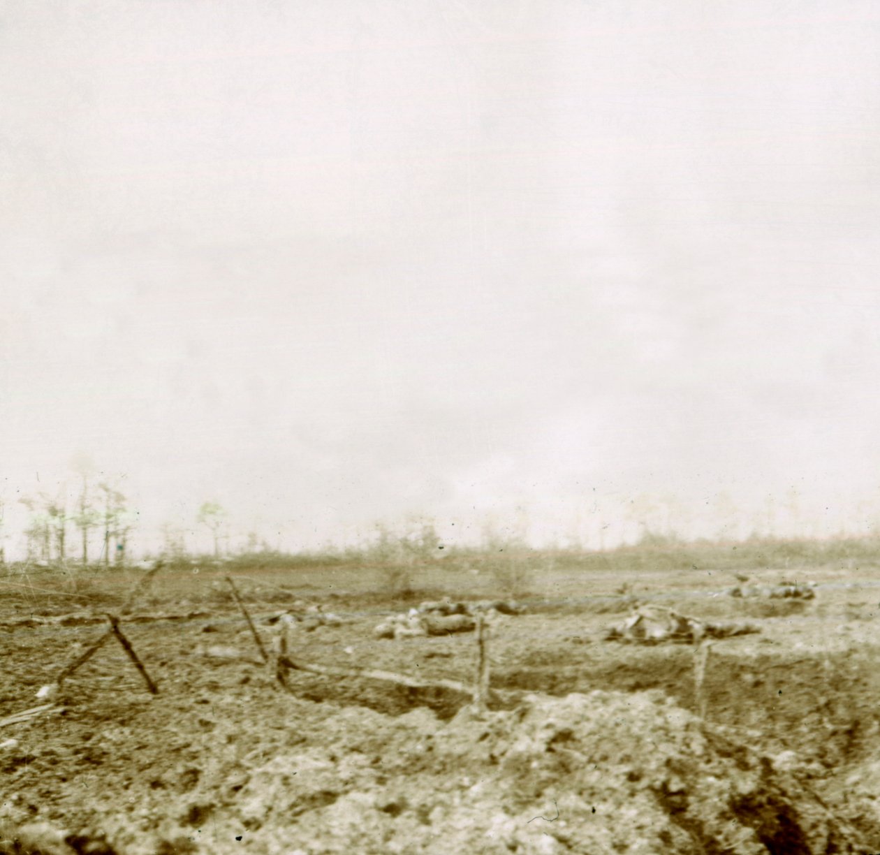 Liker etter angrep, c1914-c1918 av Unbekannt