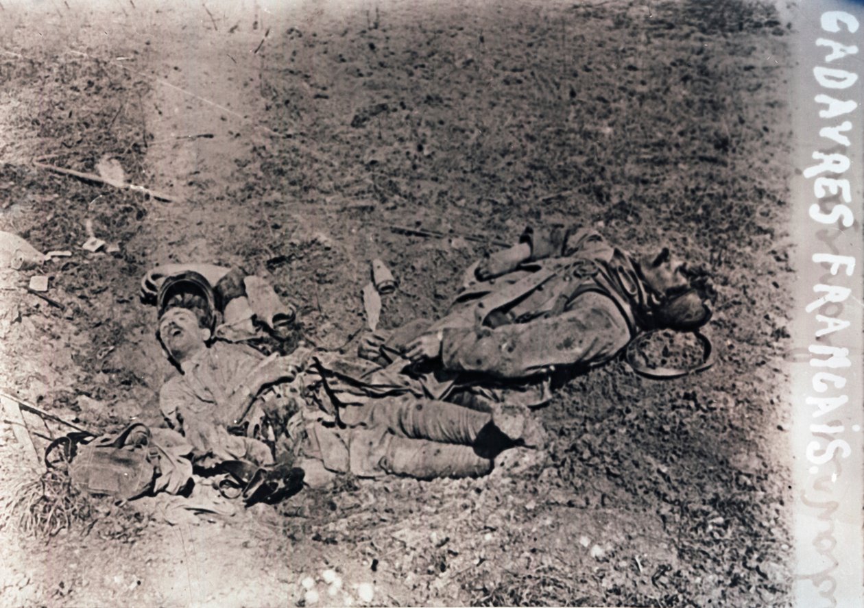 Liker av døde franske soldater, c1914-c1918 av Unbekannt