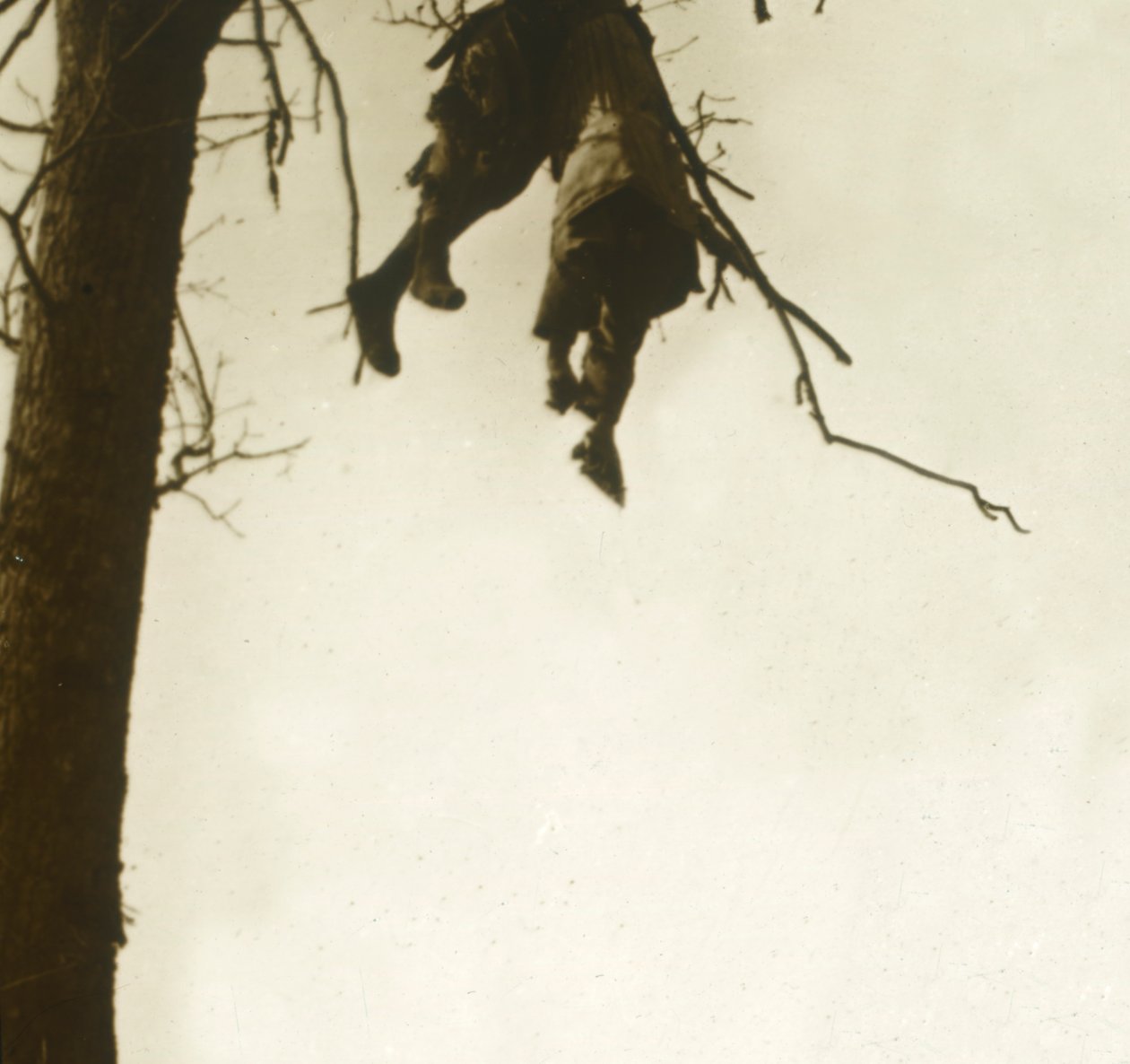 Kropp i tre, Bois dAvocourt, Verdun, Nord-Frankrike, c1914-c1918. av Unbekannt