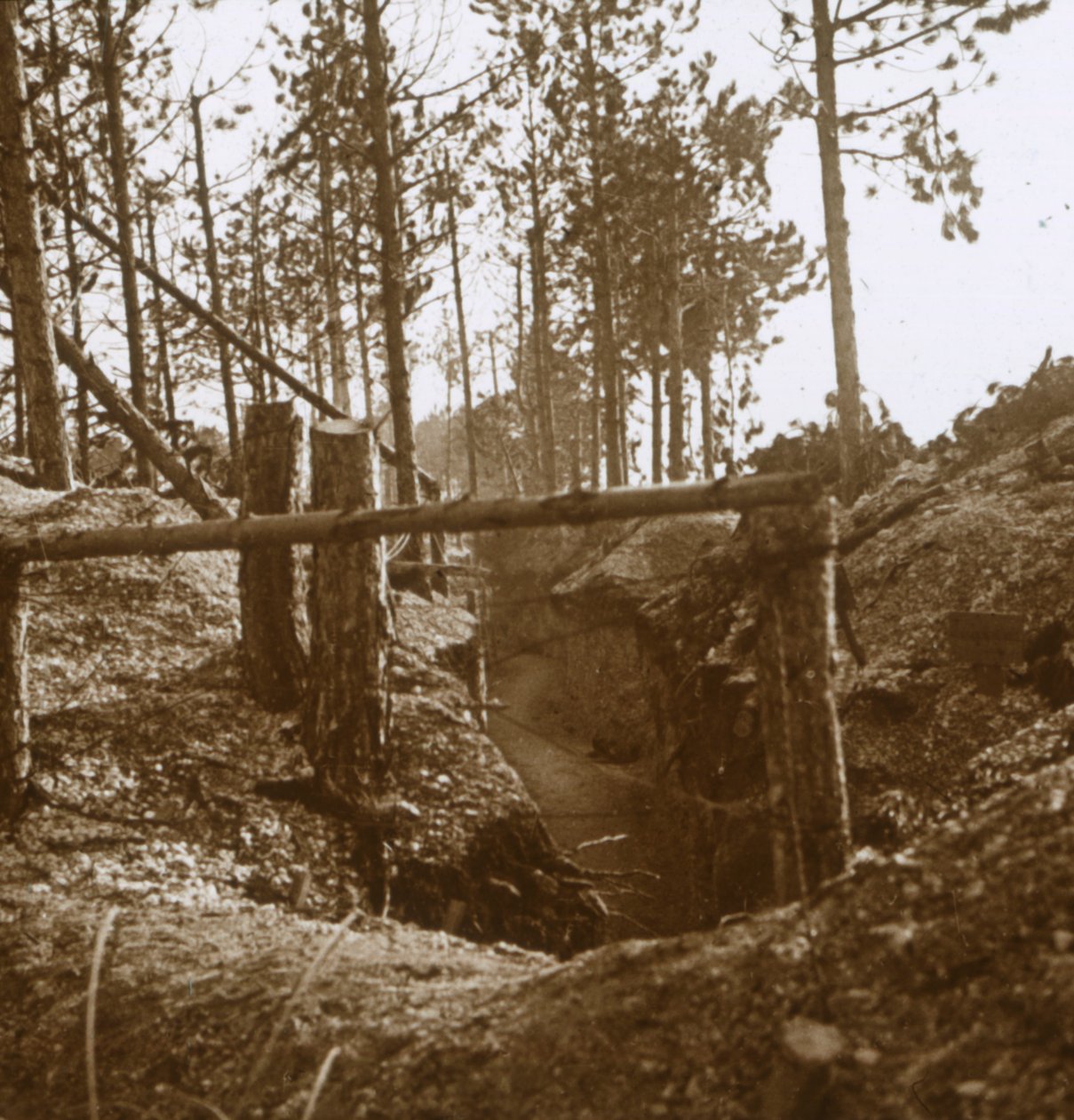 Bois-le-Prêtre, Nord-Frankrike, c1914-c1915 av Unbekannt
