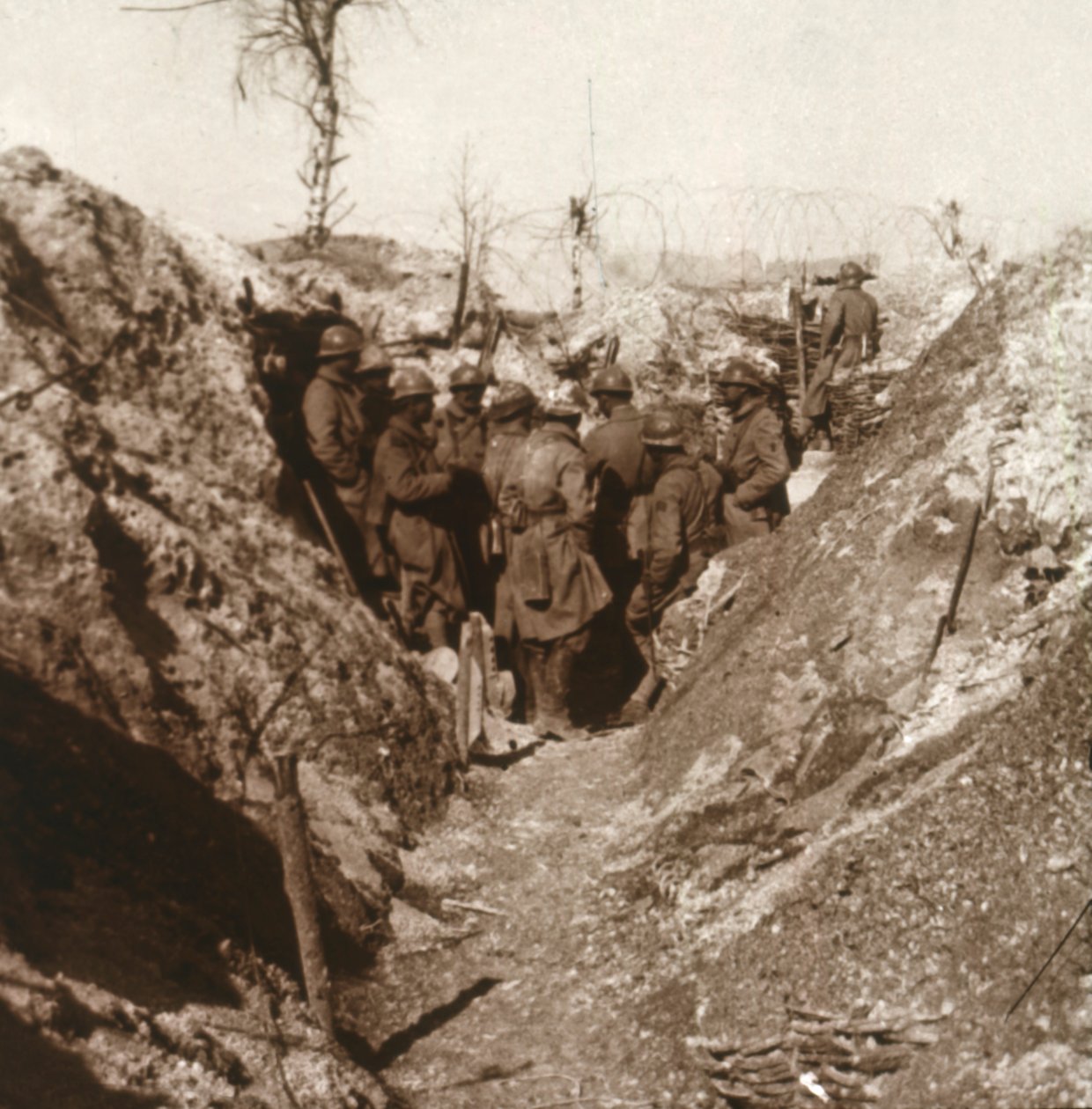 Bois de la Grille før angrep, Nord-Frankrike, c1914-c1918 av Unbekannt